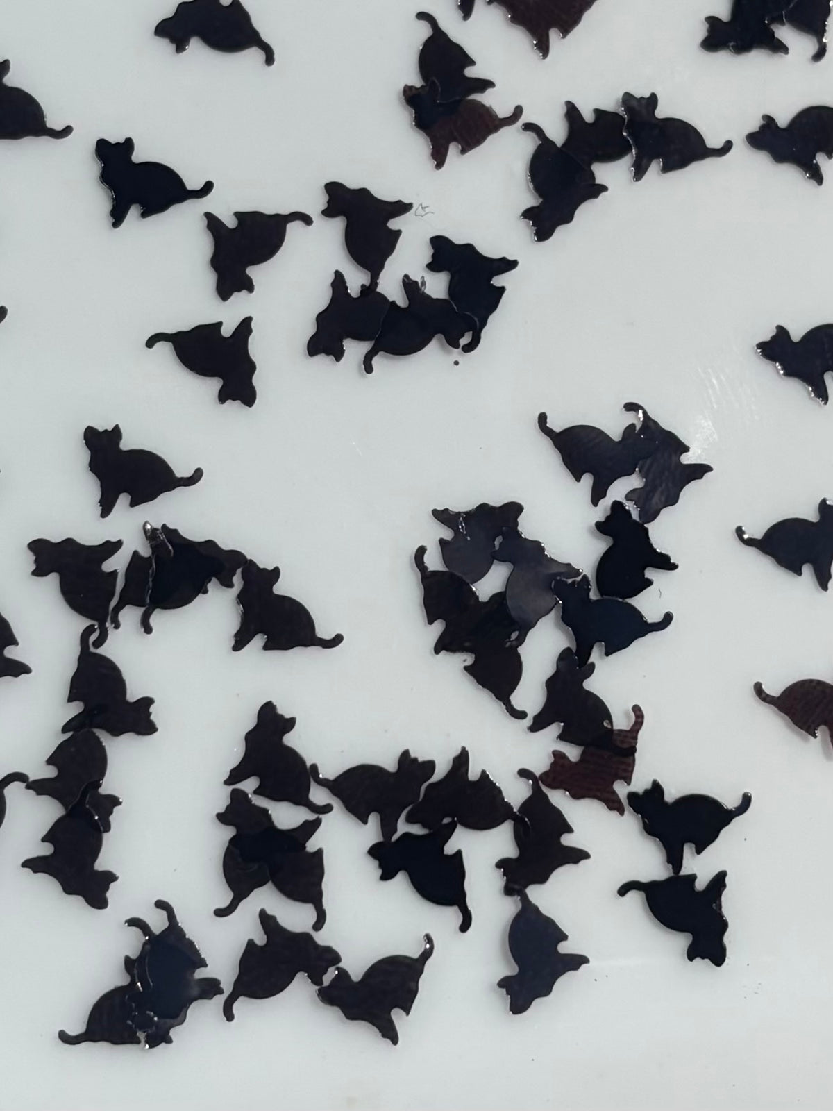 Black cat shape glitter